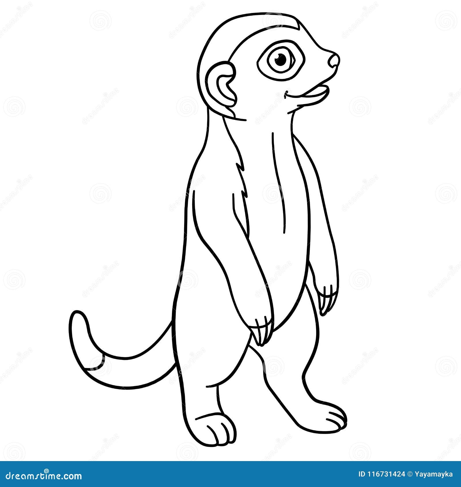 Baby Meerkat Coloring Coloring Pages