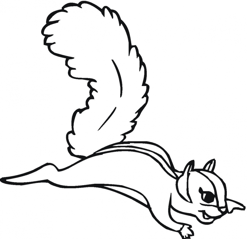 Baby Squirrel Coloring Pages At GetColorings Free Printable Colorings Pages To Print And Color
