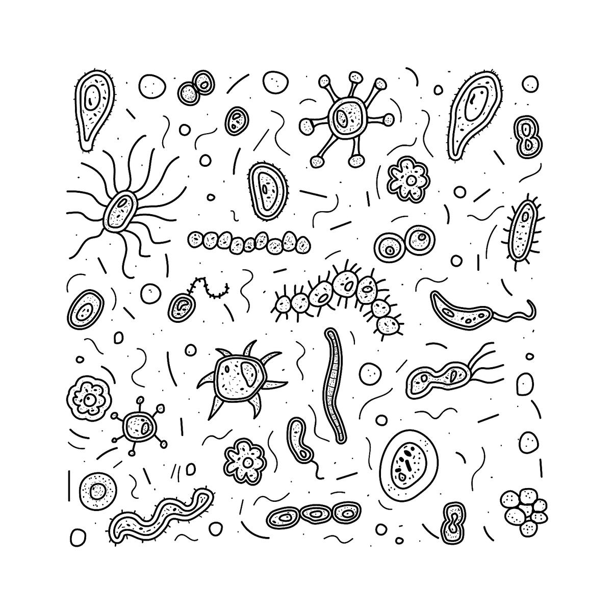 Bacteria Coloring Pages