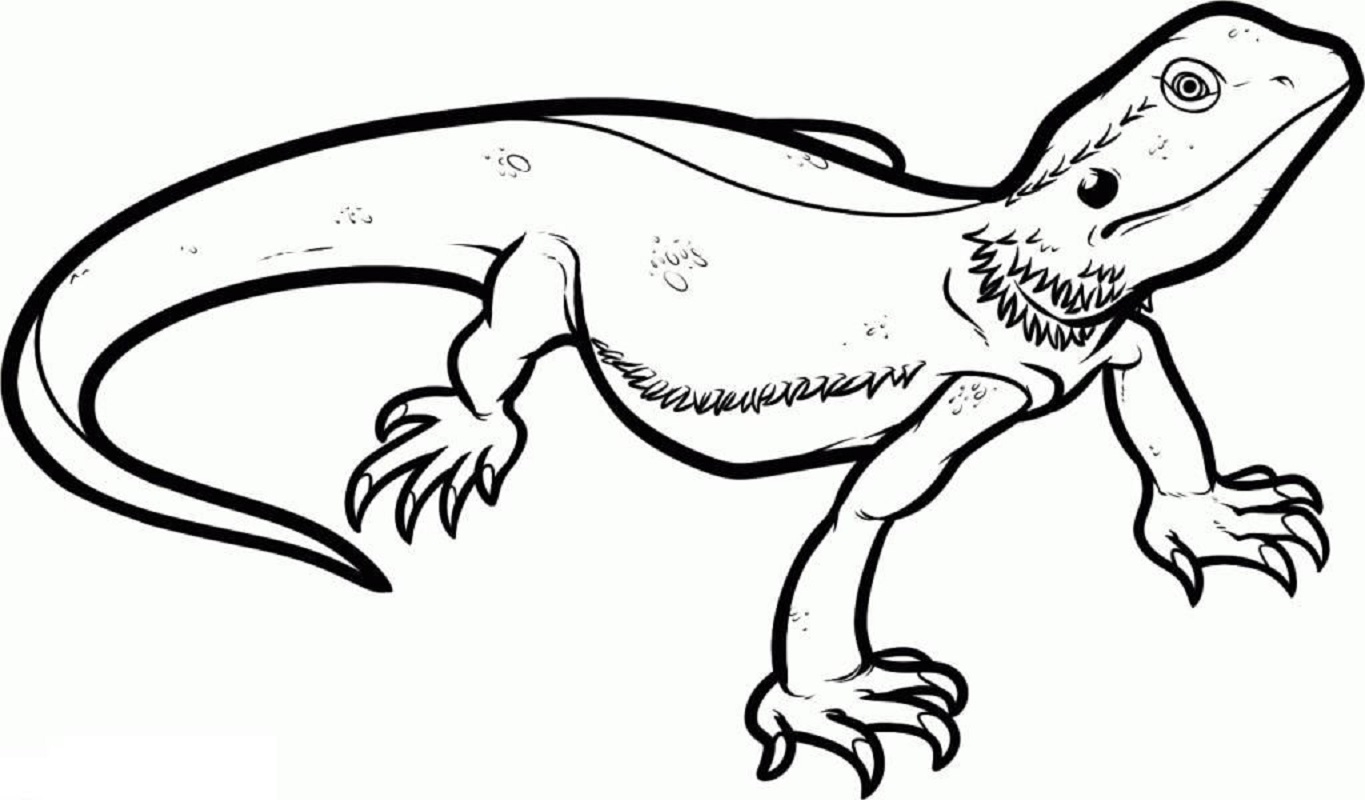 Bearded Dragon Coloring Page