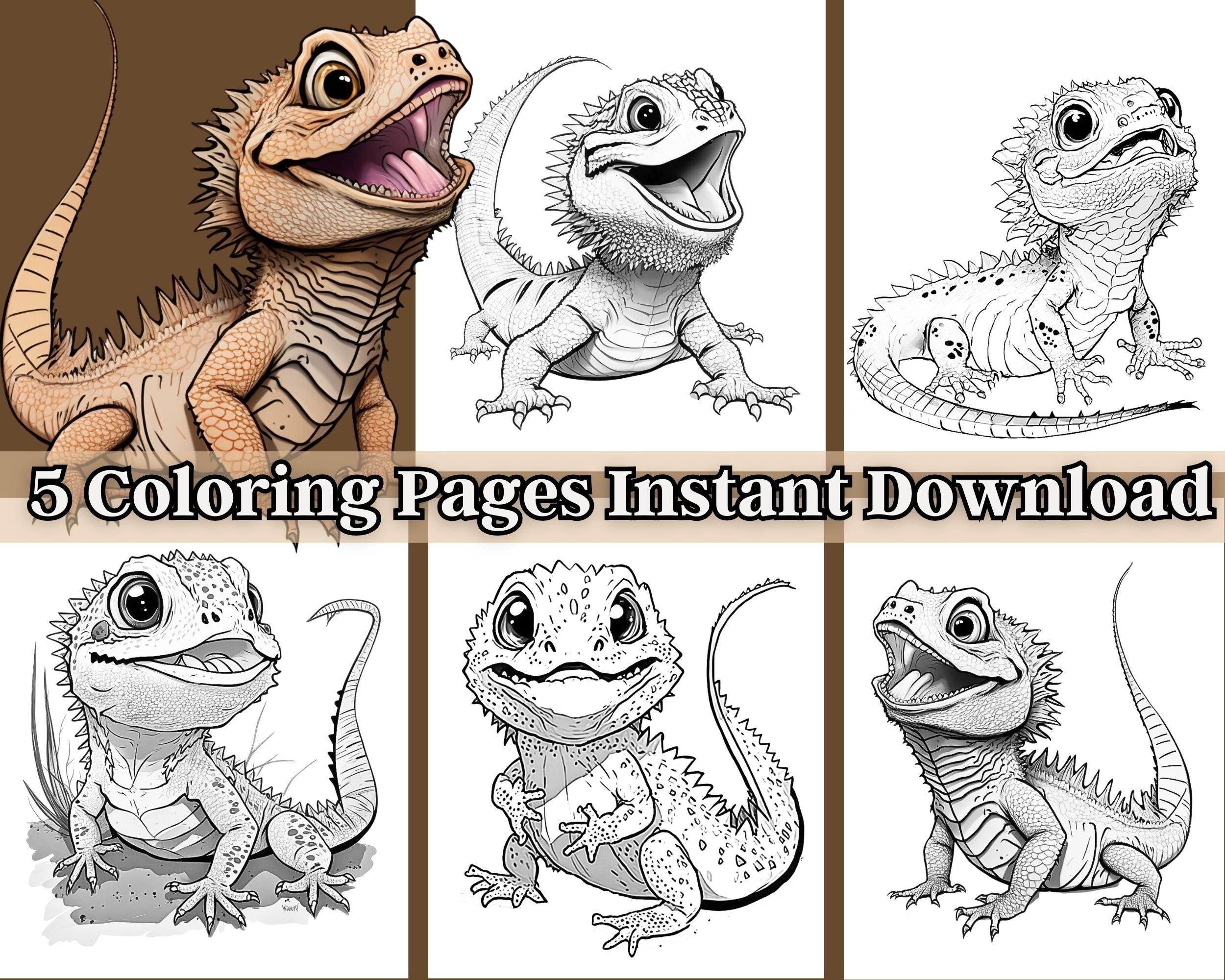 Bearded Dragon Coloring Pages 5 Pages Bearded Dragon Art Reptile Coloring Instant Download
