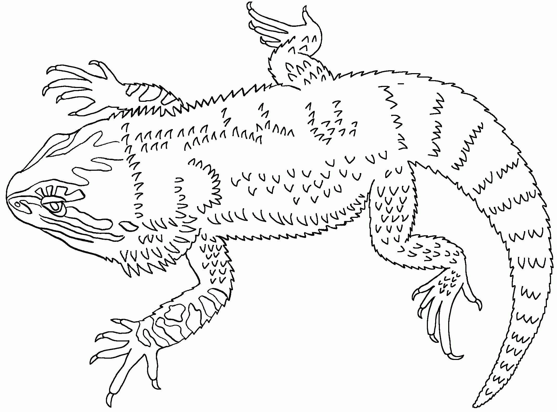 Bearded Dragon Coloring Pages Best Coloring Pages For Kids