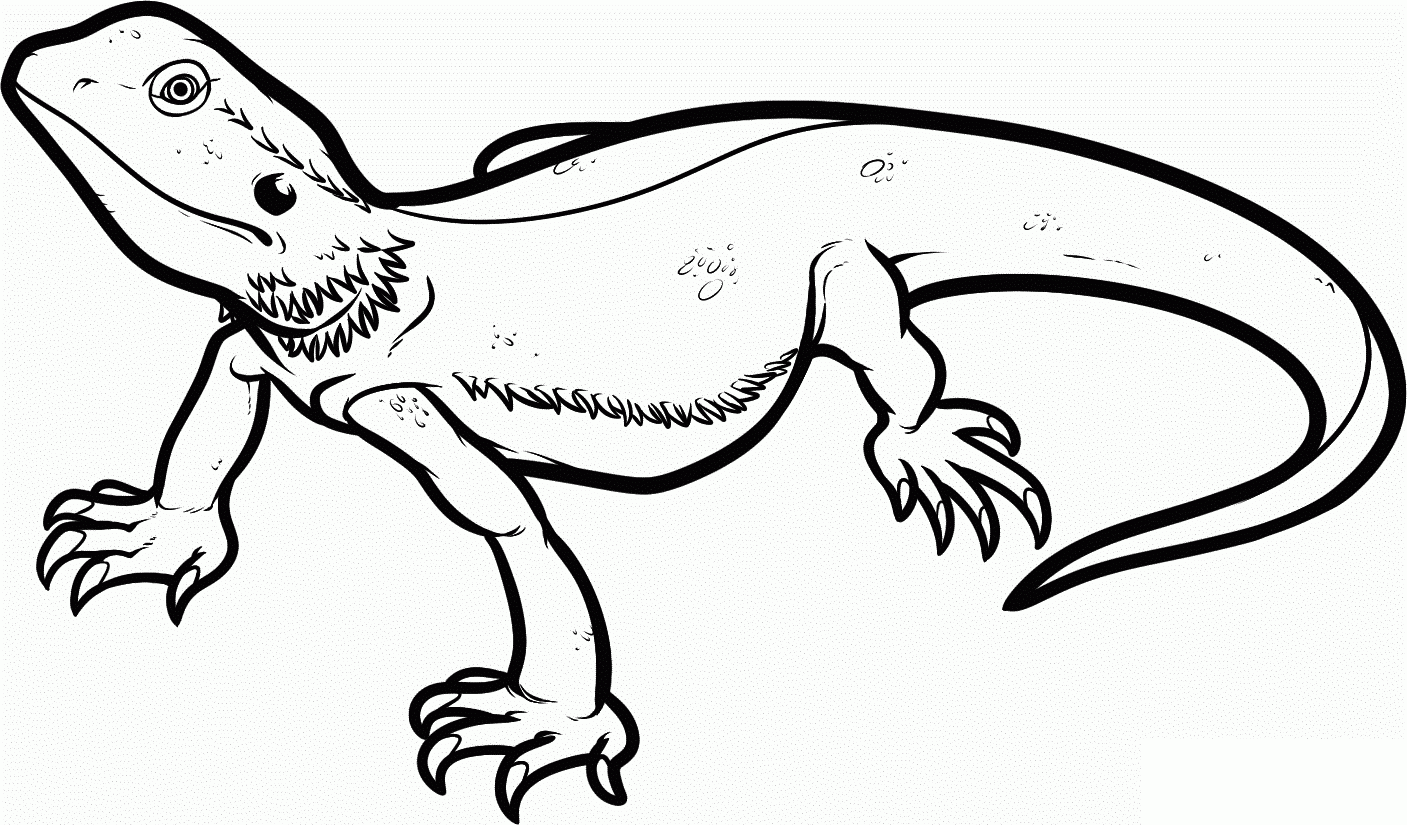 Bearded Dragon Coloring Pages