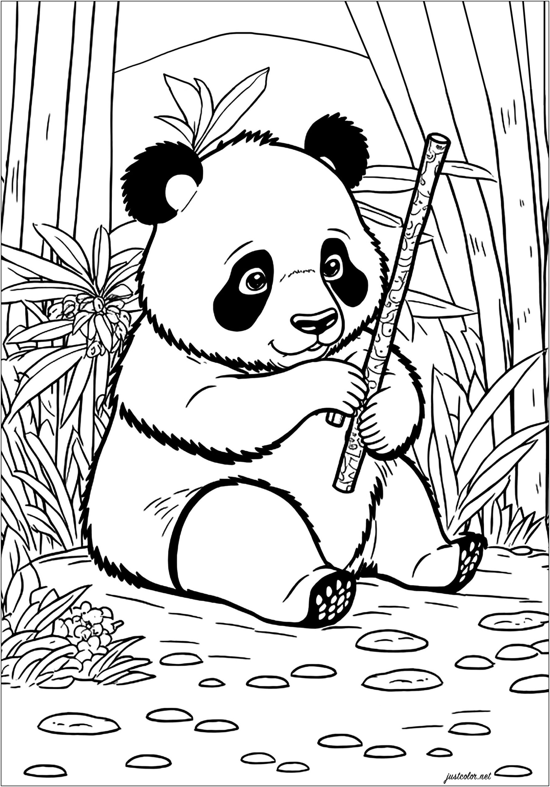 Beautiful Panda Eating Bamboo Panda Coloring Pages For Adults