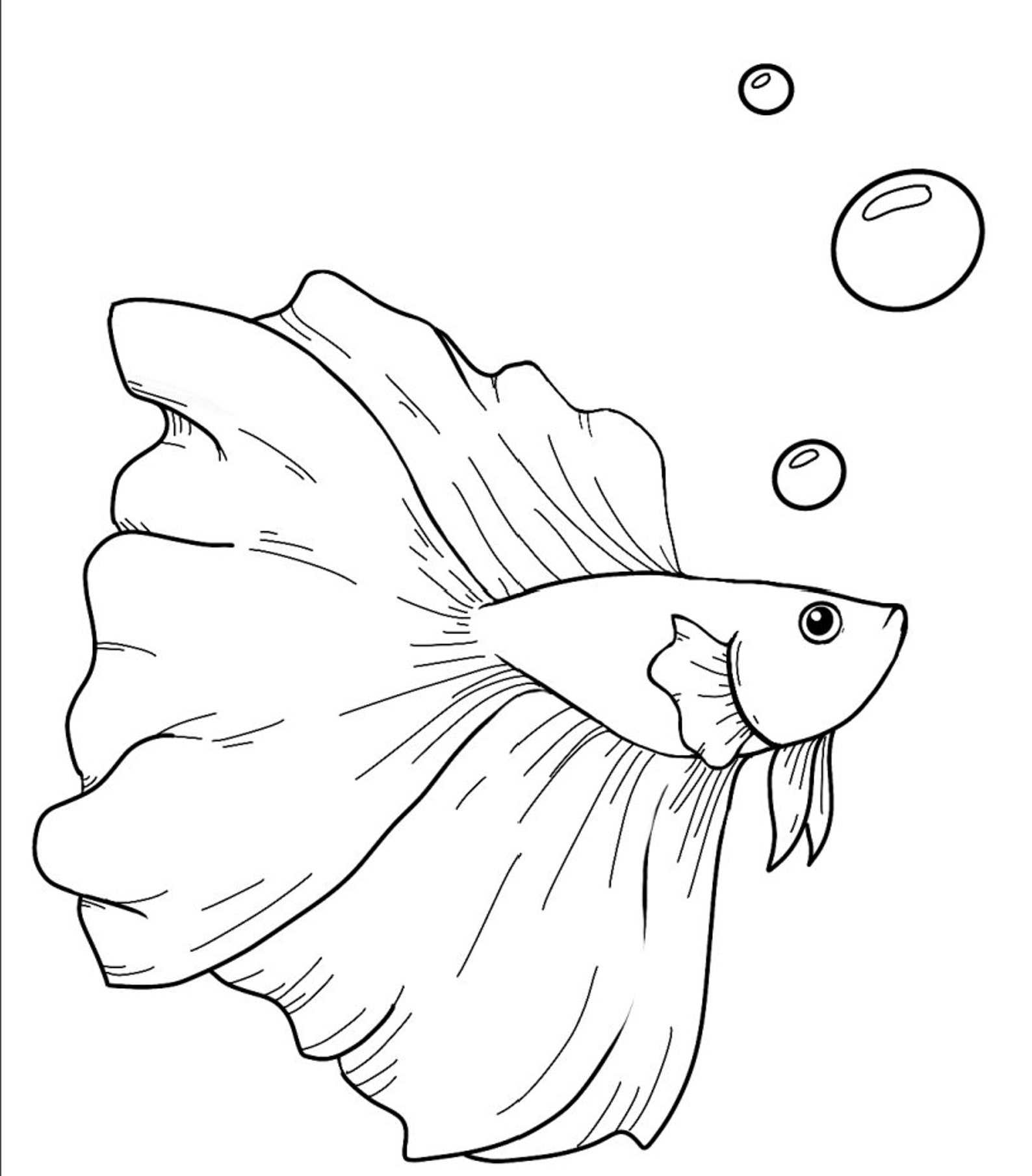 Betta Coloring Page