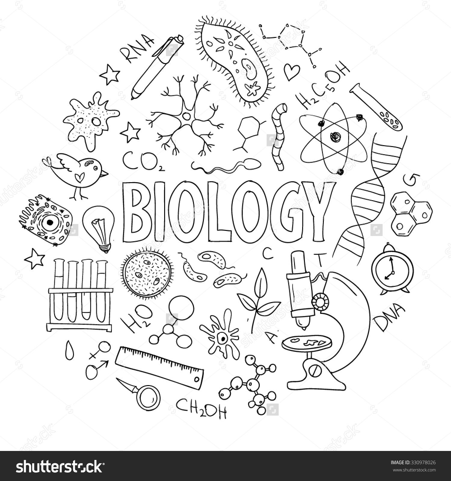 Biology Drawings At PaintingValley Explore Collection Of Biology Drawings