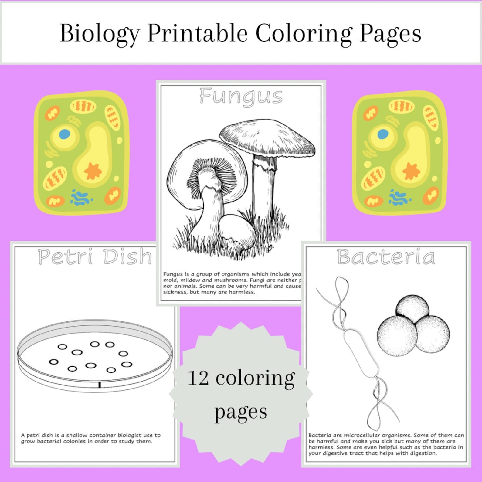 Biology Printable Coloring Pages Biology For Kids Biology For Kindergarten Preschool Daycare