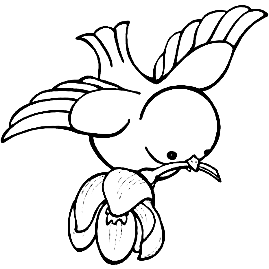 Bird Coloring Pages Printable Coloring Pages