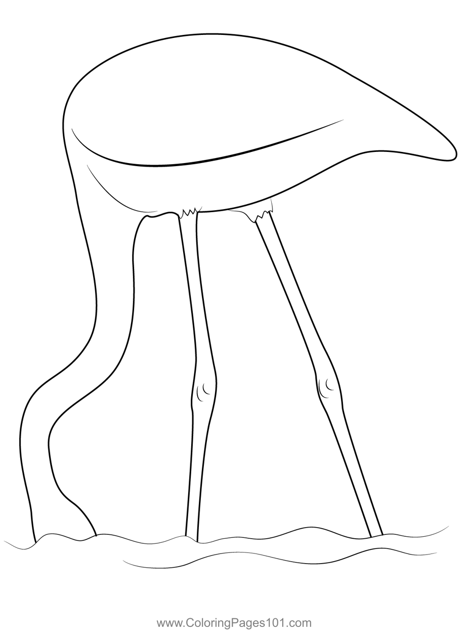 Bird Pink Flamingo Water Coloring Page For Kids Free Flamingos Printable Coloring Pages Online