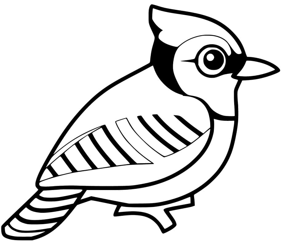 Blue Jay Coloring Page
