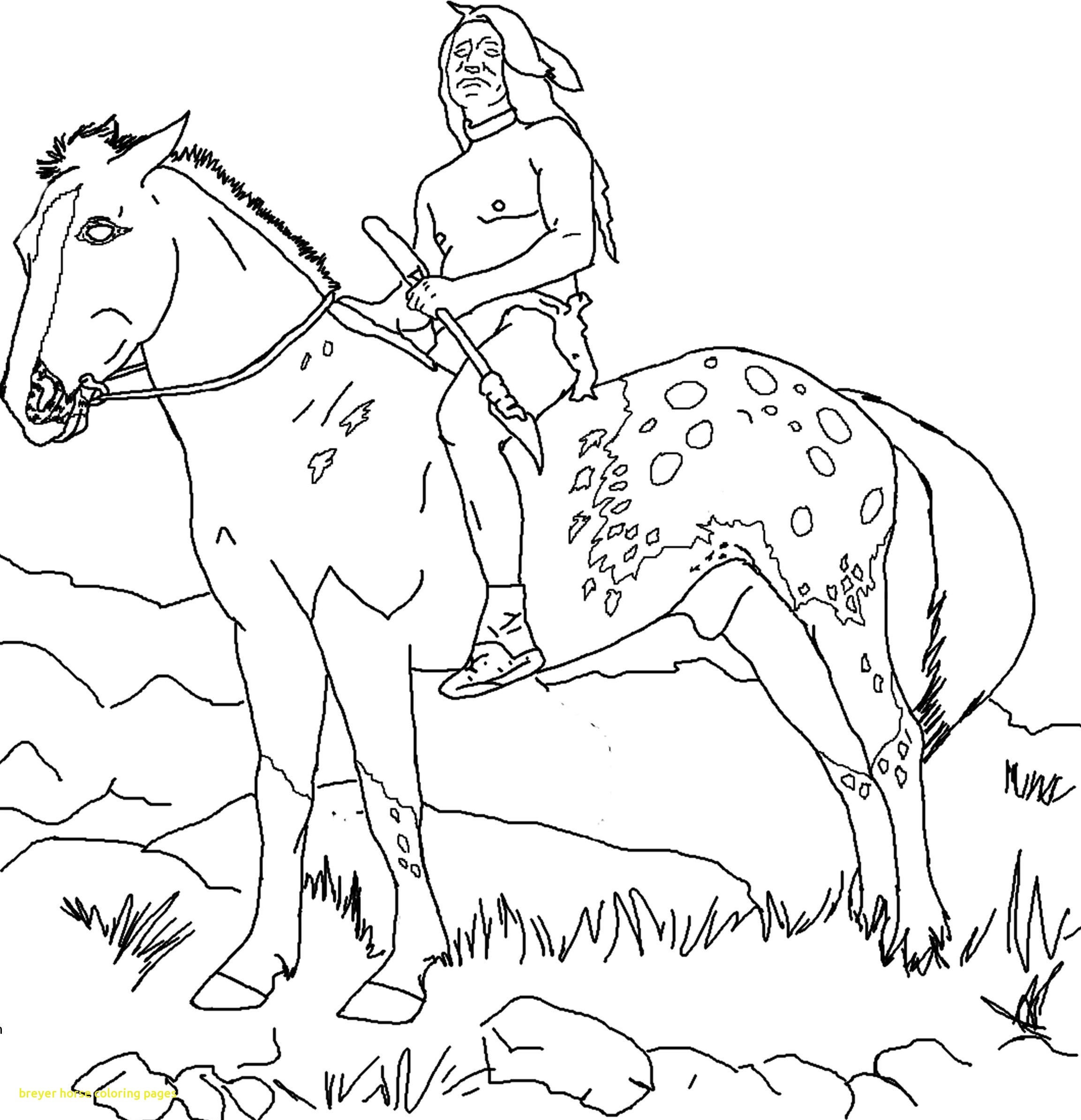 Breyer Horse Coloring Pages At GetDrawings Free Download