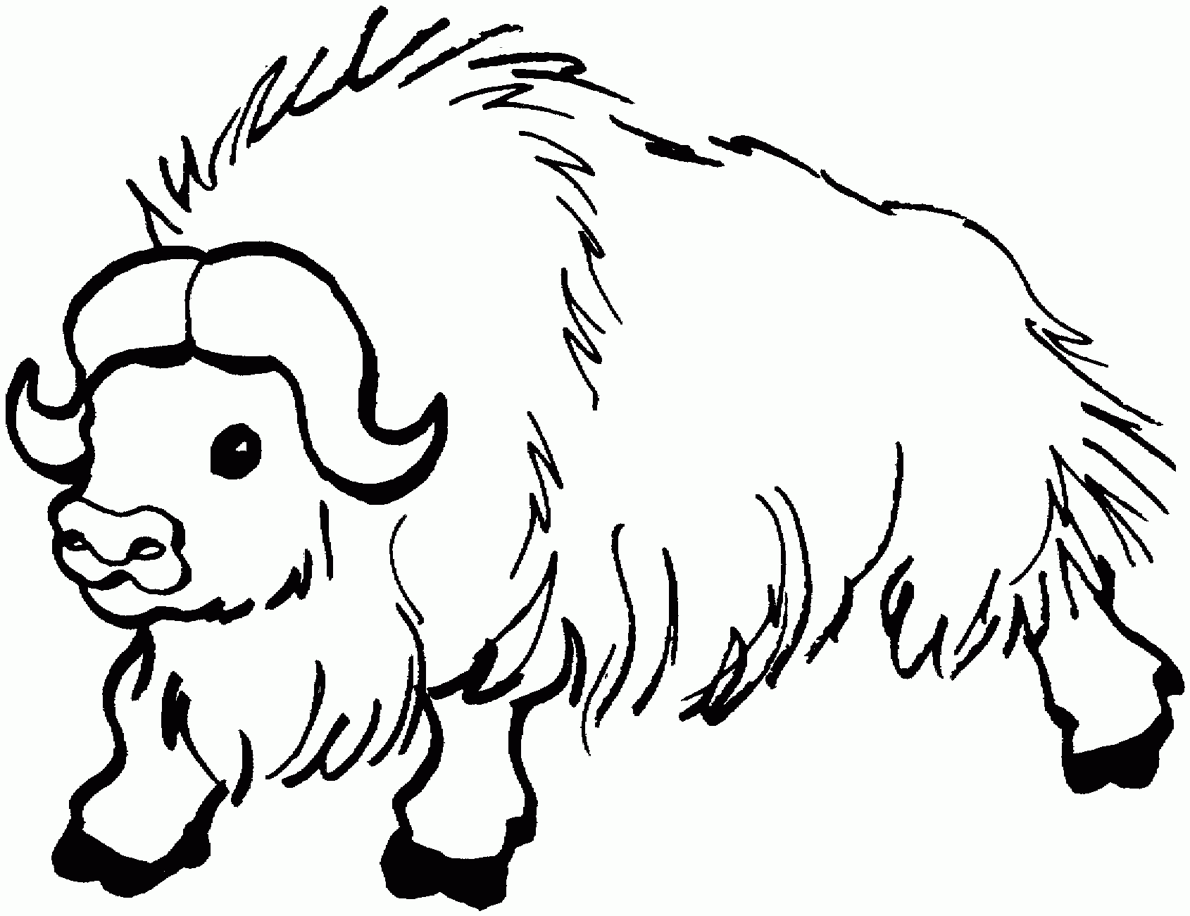 Buffalo Coloring Pages Best Coloring Pages For Kids