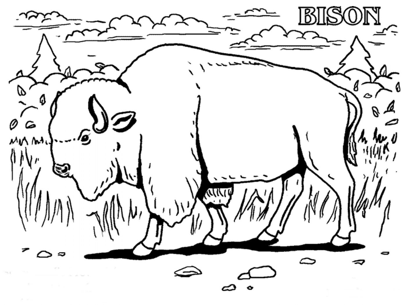 Buffalo Coloring Pages For Kids At GetColorings Free Printable Colorings Pages To Print