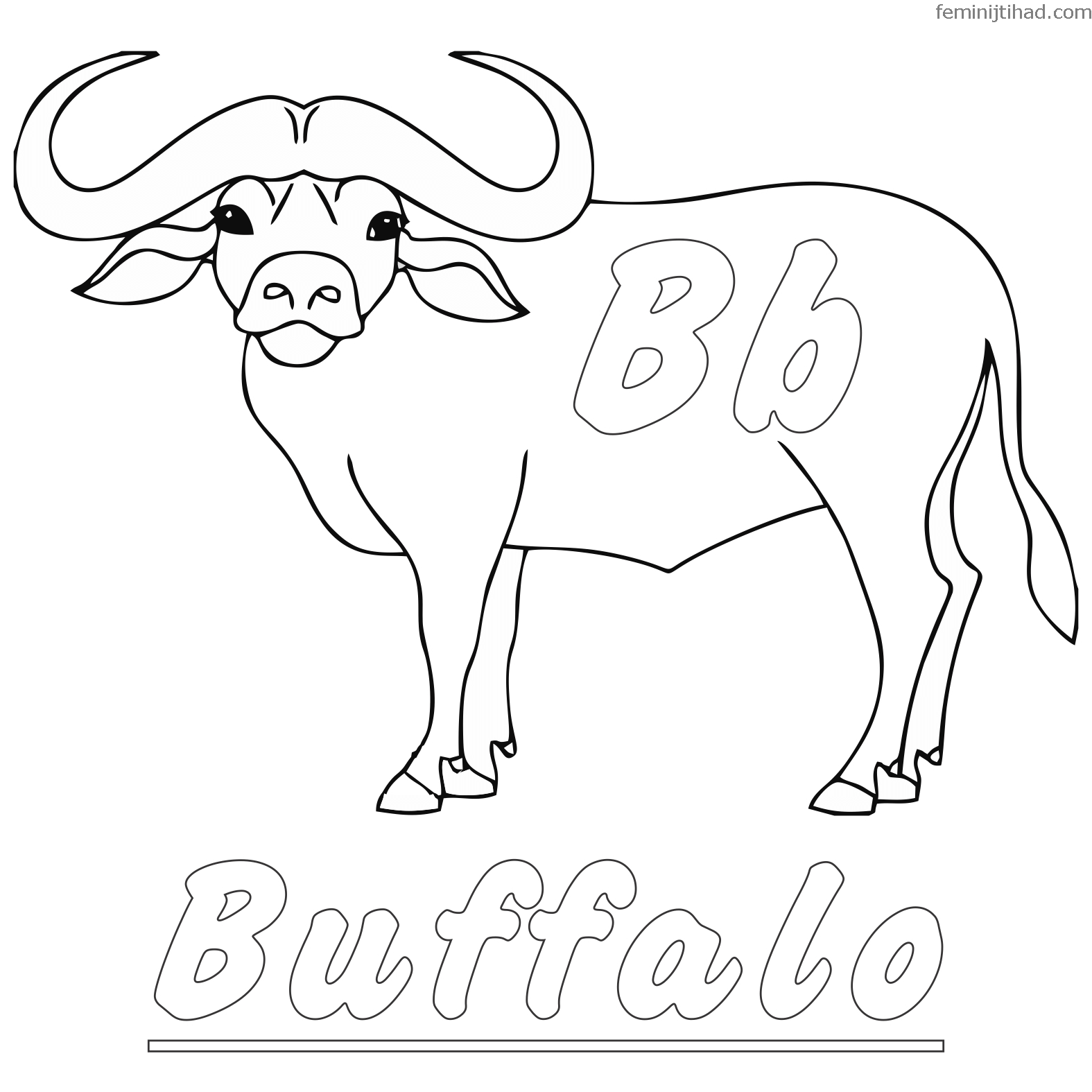 Buffalo Coloring Pages For Kids At GetColorings Free Printable Colorings Pages To Print
