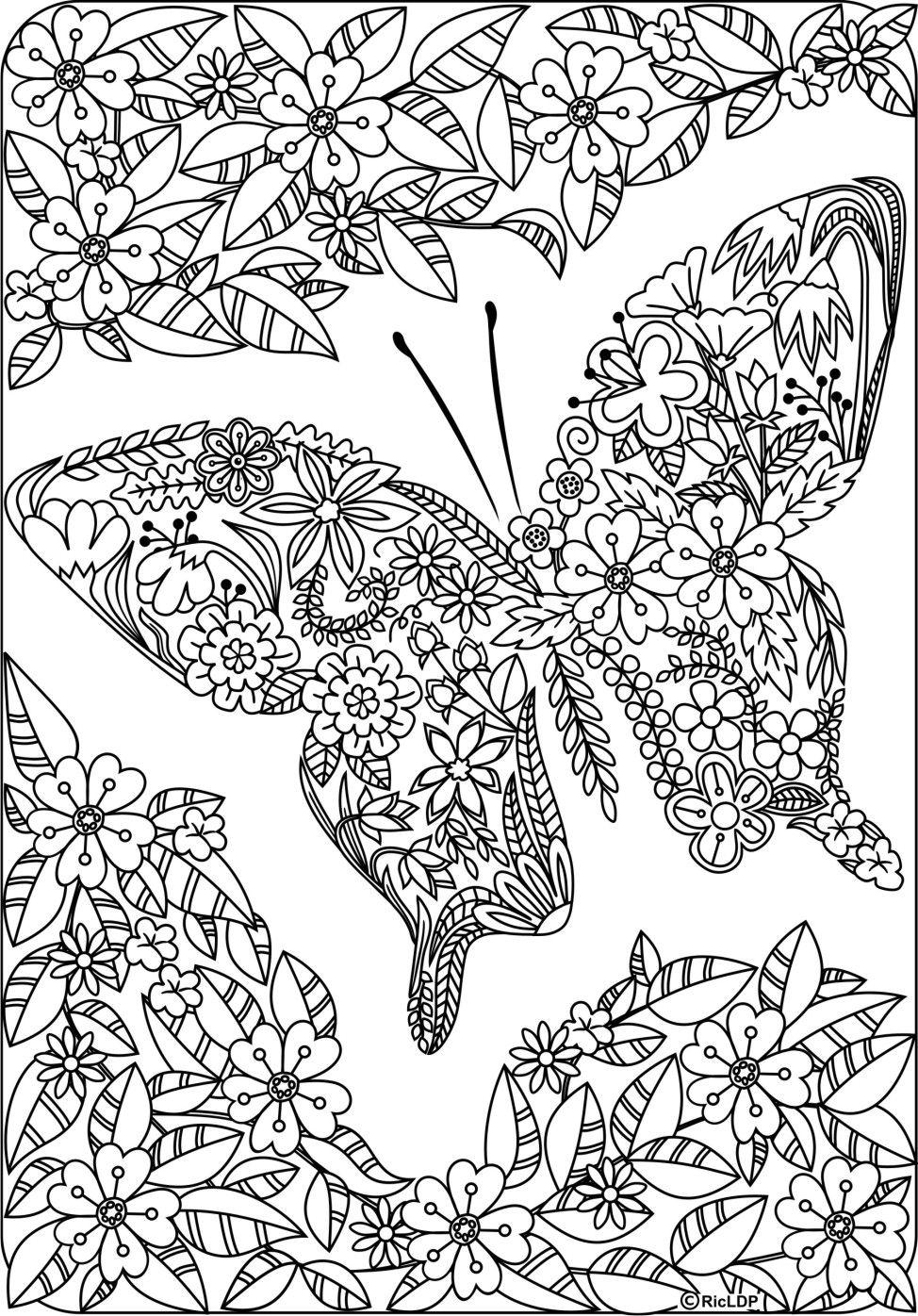 Adult Coloring Pages Butterfly