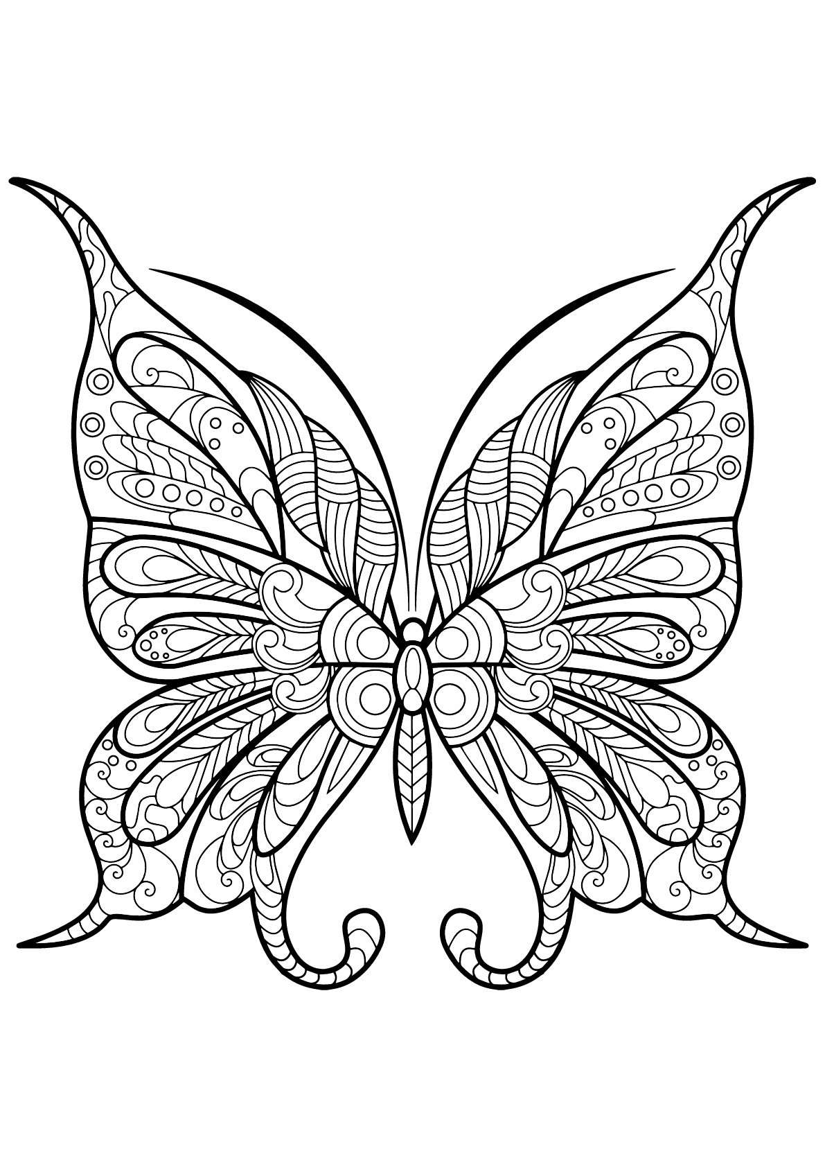 Butterfly Beautiful Patterns 9 Butterflies Insects Adult Coloring Pages