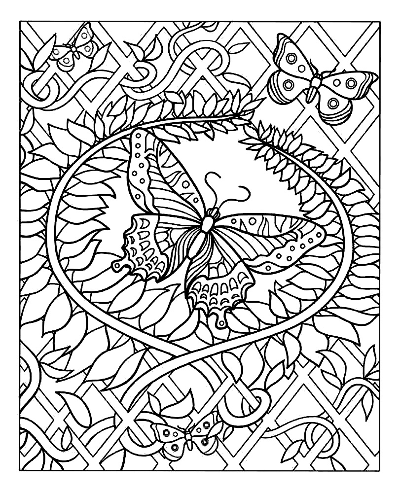 Butterfly Butterflies Insects Adult Coloring Pages
