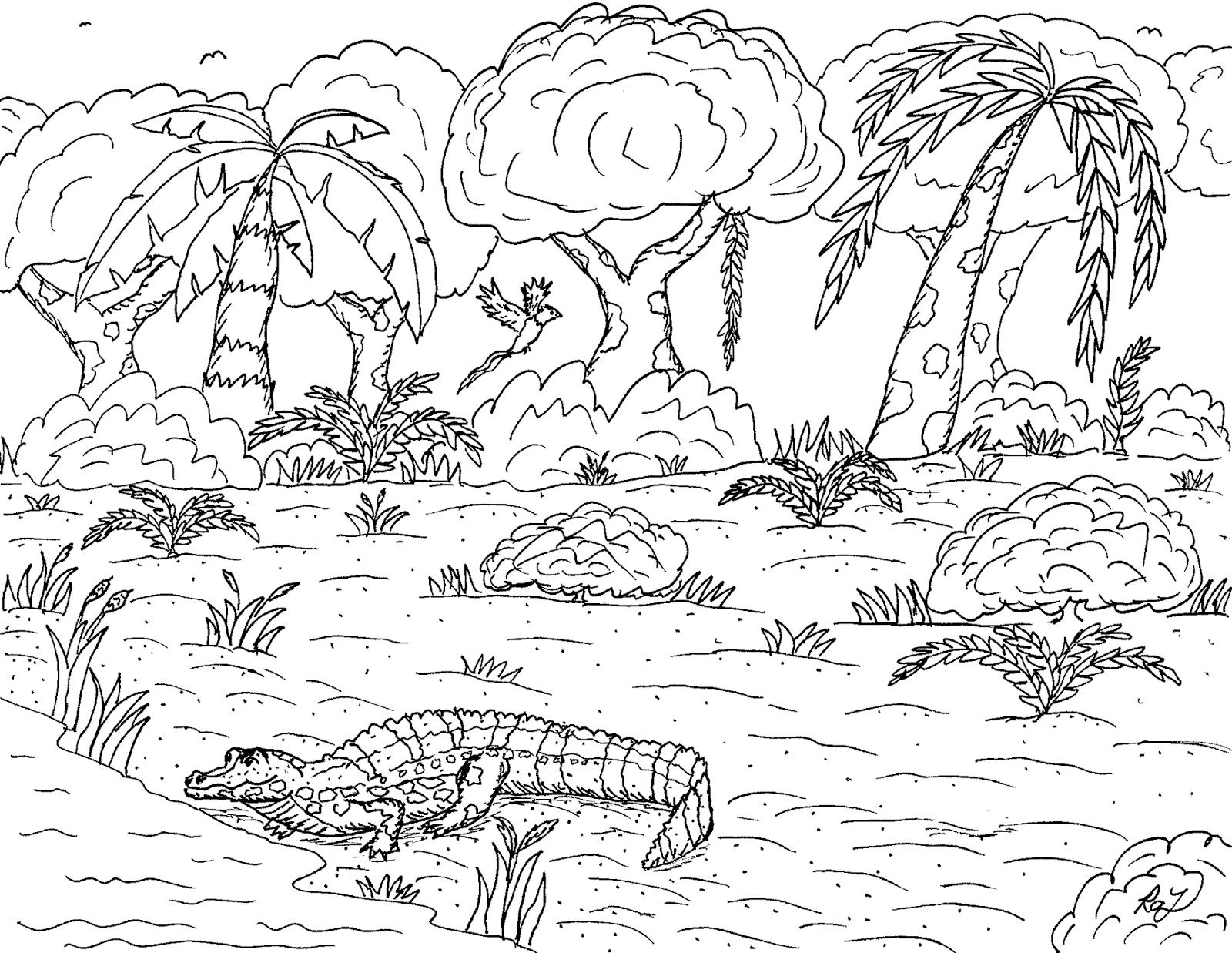 Caiman Coloring Page At GetColorings Free Printable Colorings Pages To Print And Color