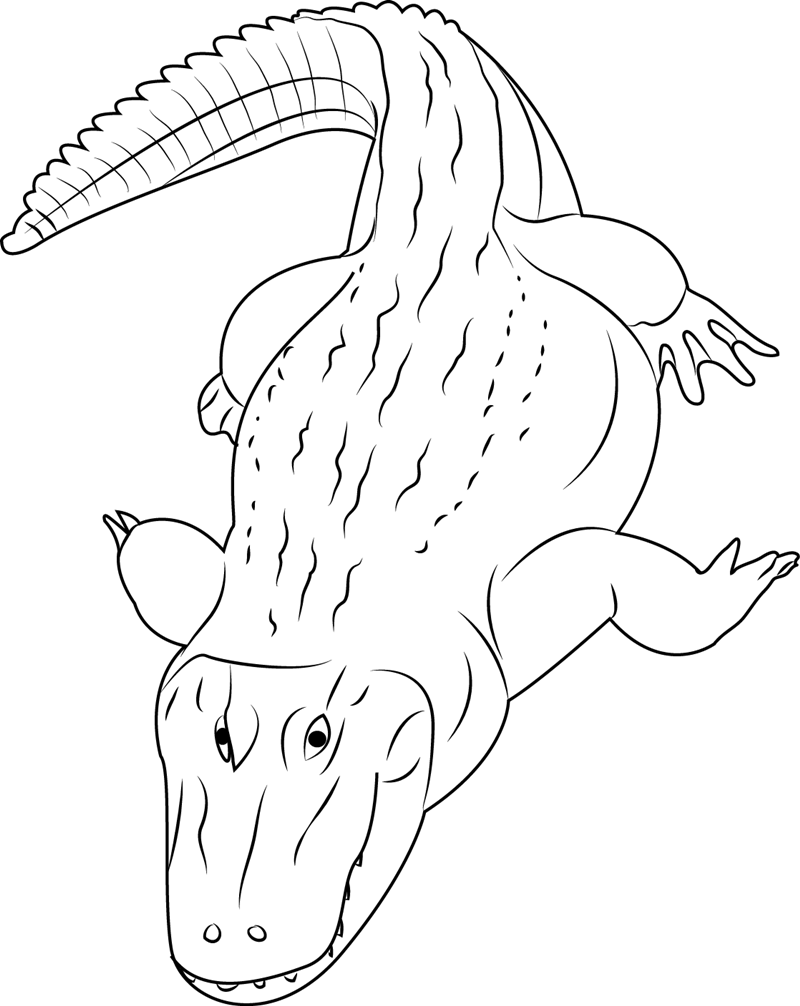 Caiman Coloring Page Coloring Pages