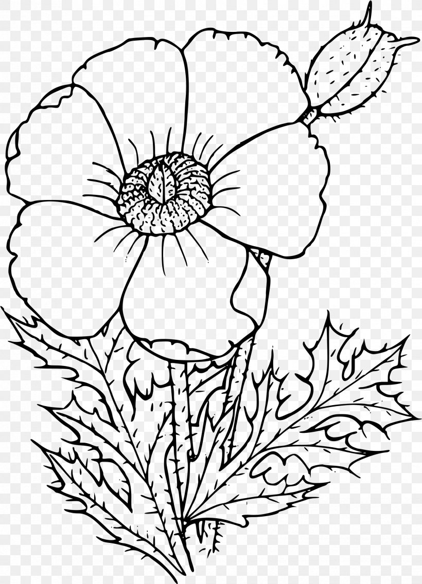 California Poppy Coloring Book Drawing Flower PNG 1731x2400px Poppy Area Artwork Black And