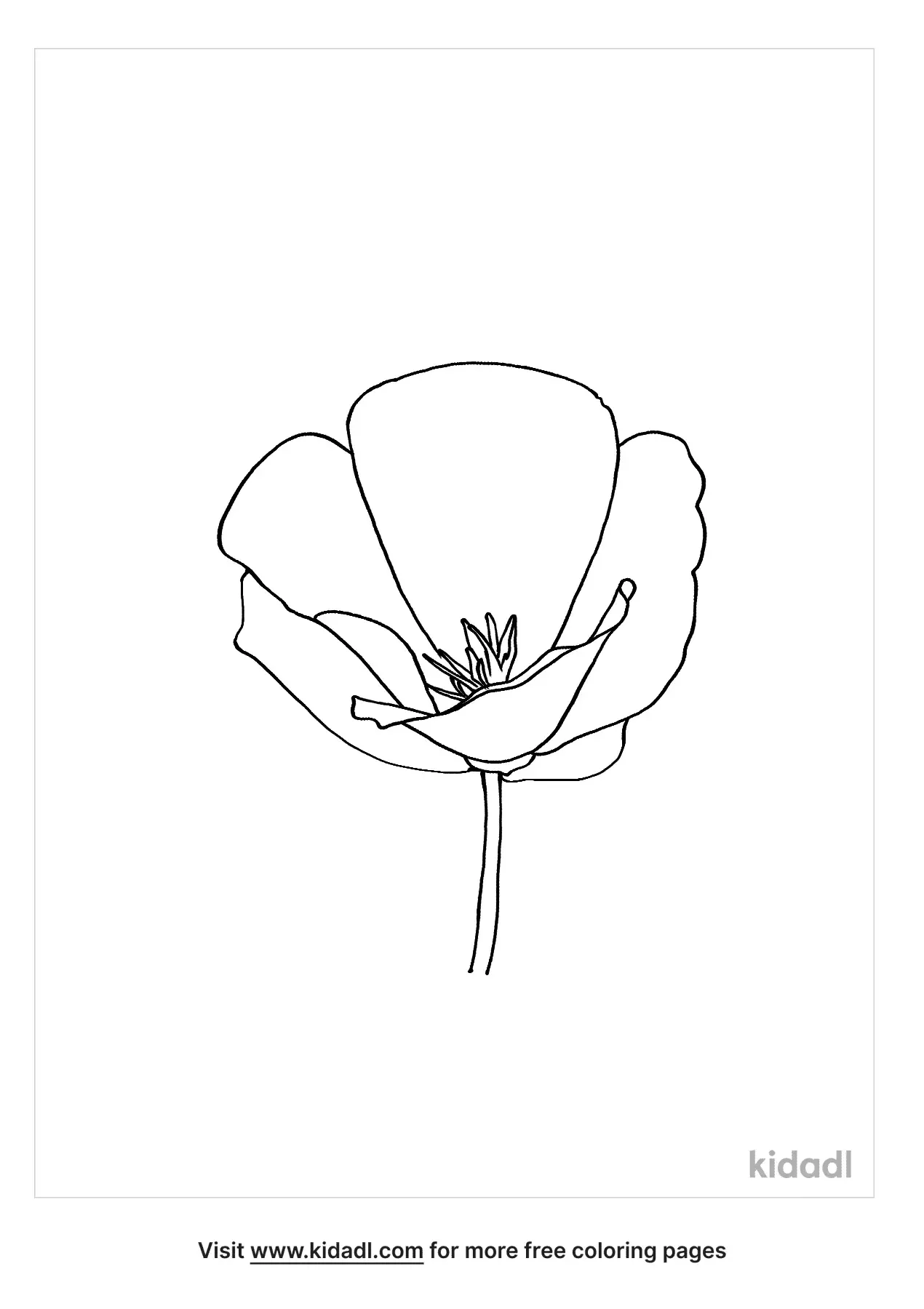 California State Flower Coloring Page Best Flower Site