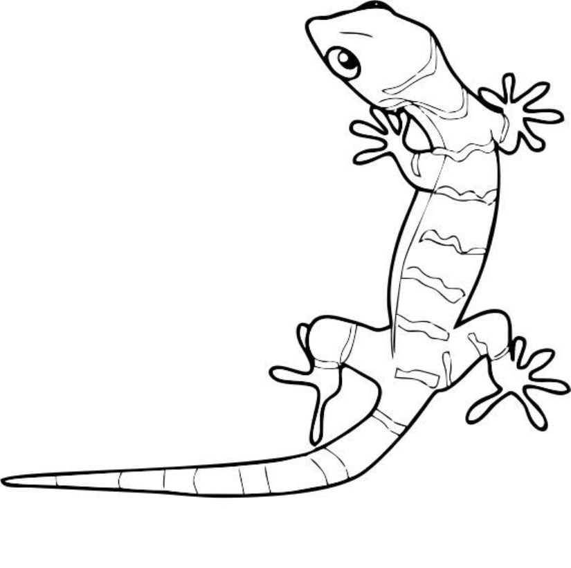 Cartoon Gecko Coloring Pages Download And Print For Free