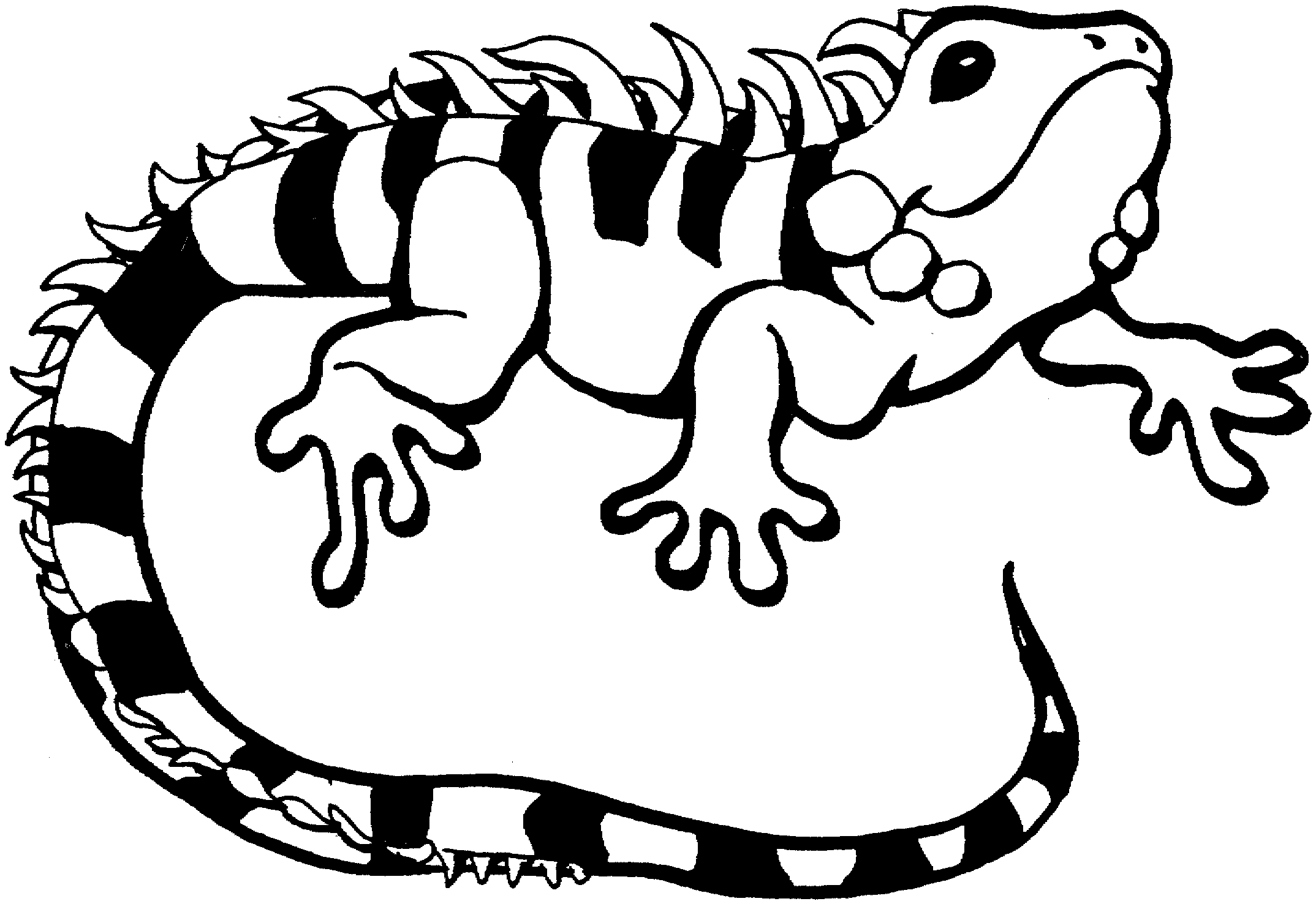Cartoon Gecko Coloring Pages Download And Print For Free