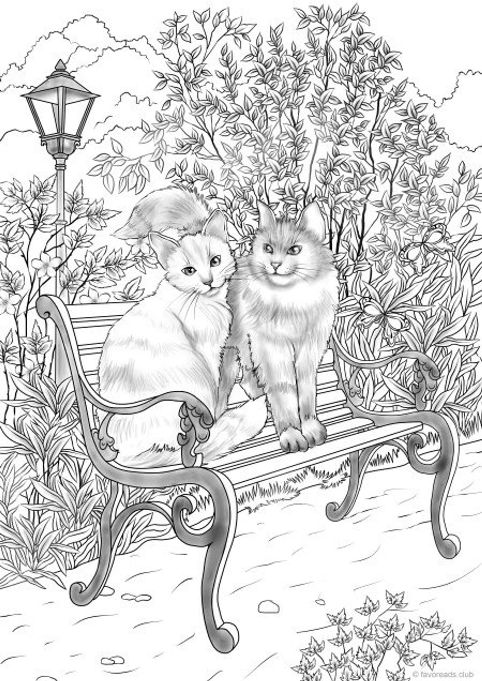Cat Coloring Pages For Adults Best Coloring Pages For Kids Abstract Cat Printable Coloring