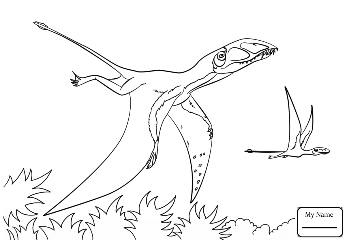 Ceratosaurus Coloring Pages At GetColorings Free Printable Colorings Pages To Print And Color