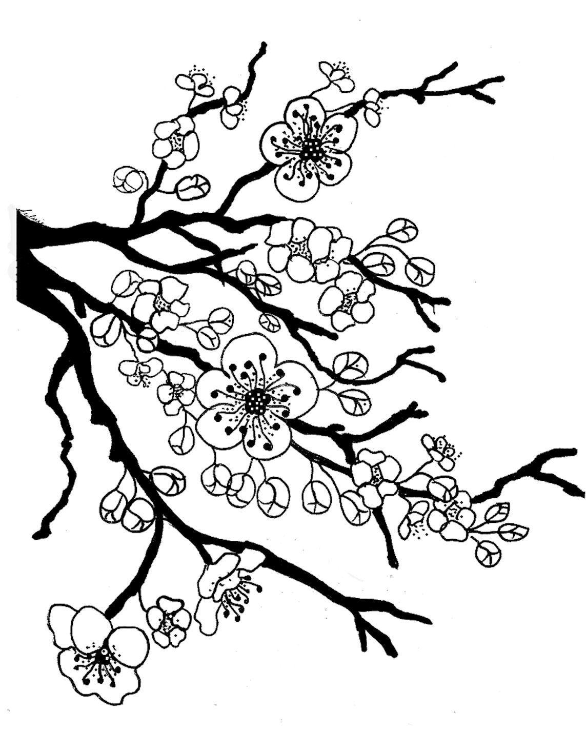Cherry Blossom Coloring Pages Coloring Home
