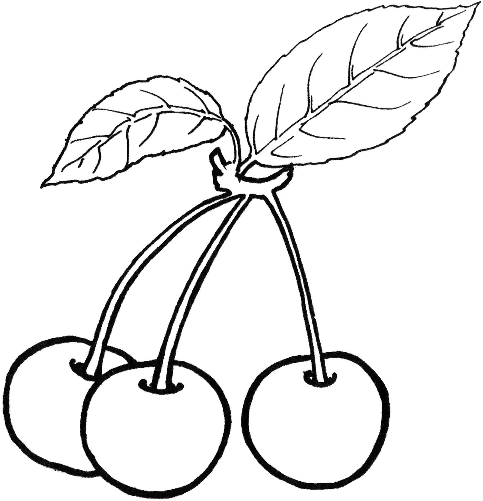 Cherry Pluras Cherries Coloring Pages Ideas