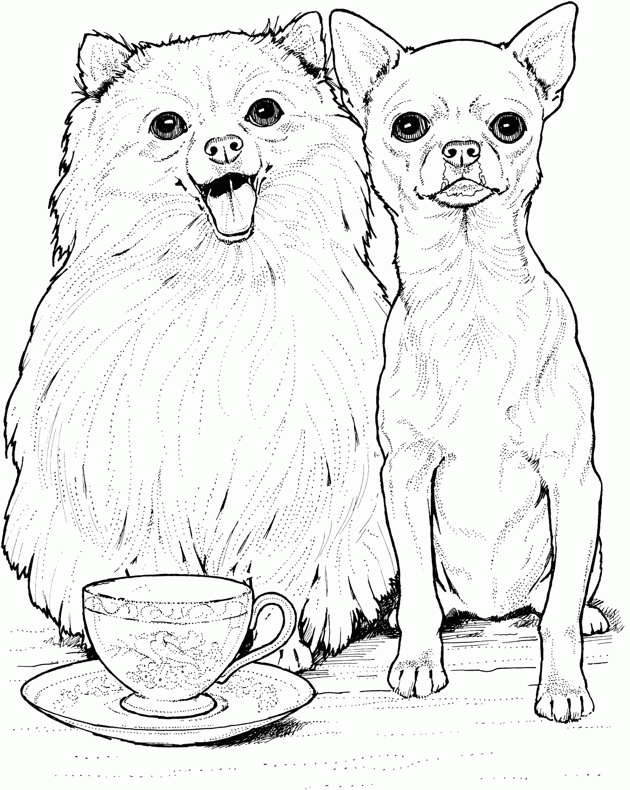 Chihuahua Coloring Pages