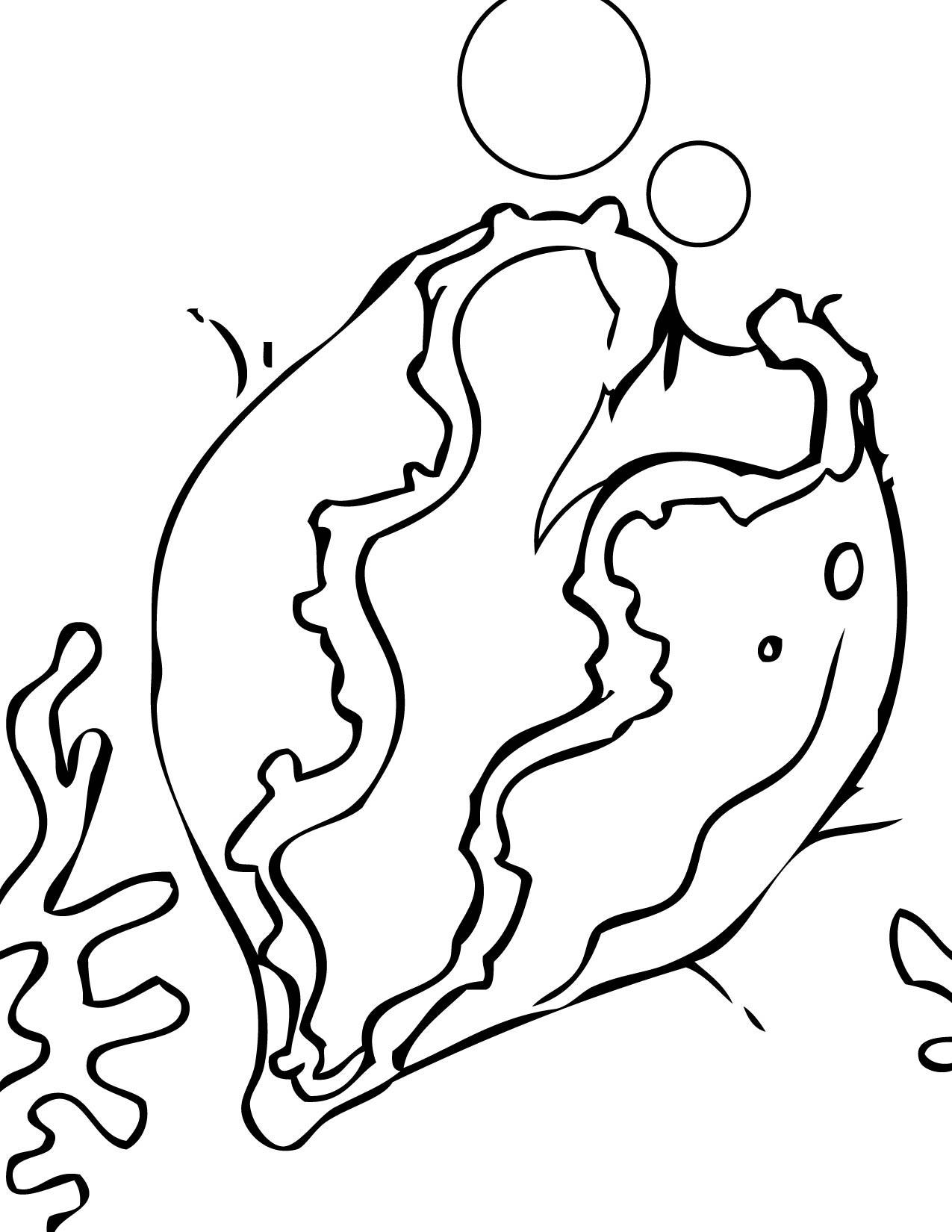 Clam Coloring Page