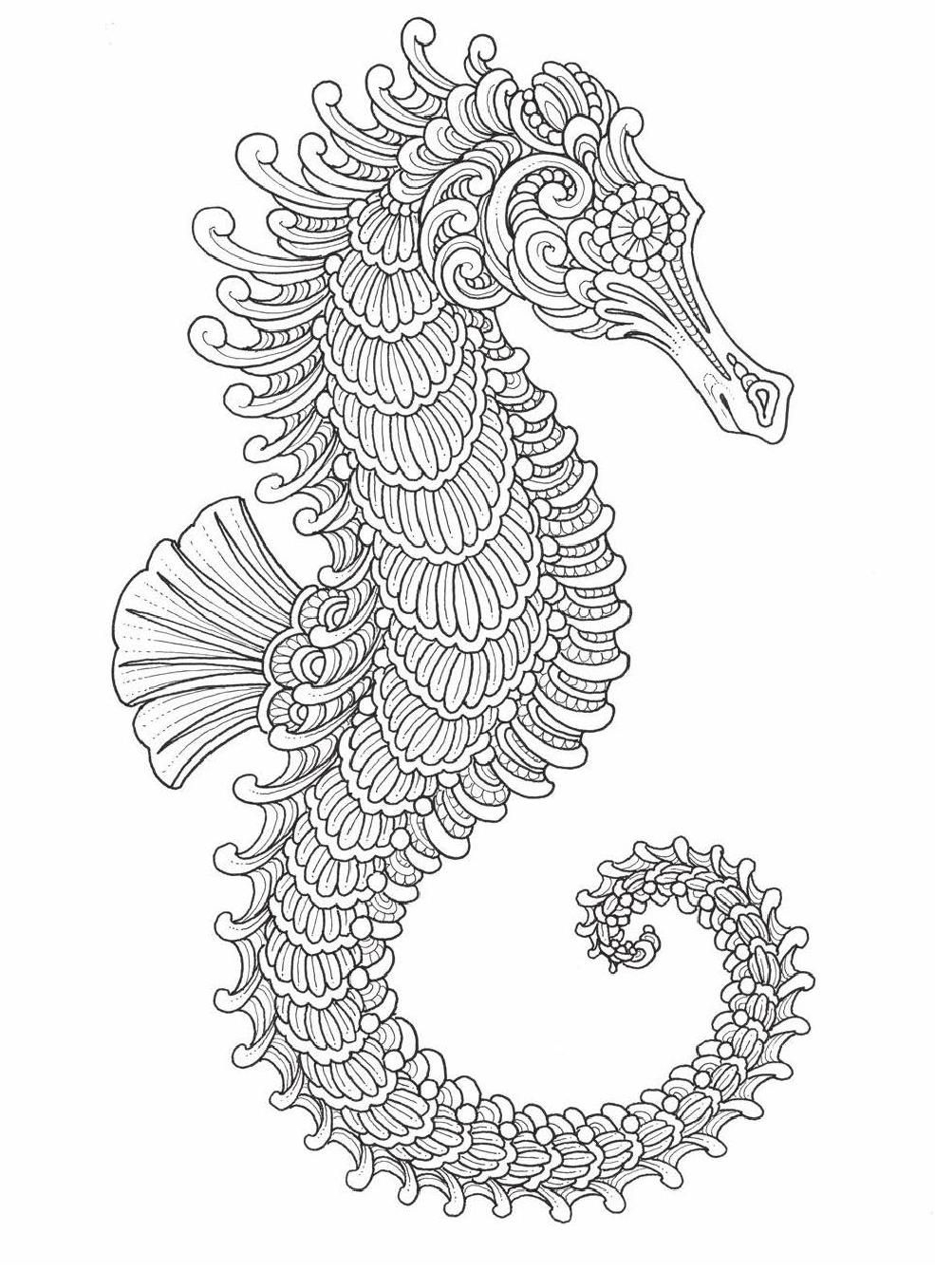 ClippedOnIssuu From Color Odyssey Animal Coloring Pages Coloring Book Pages Adult Coloring