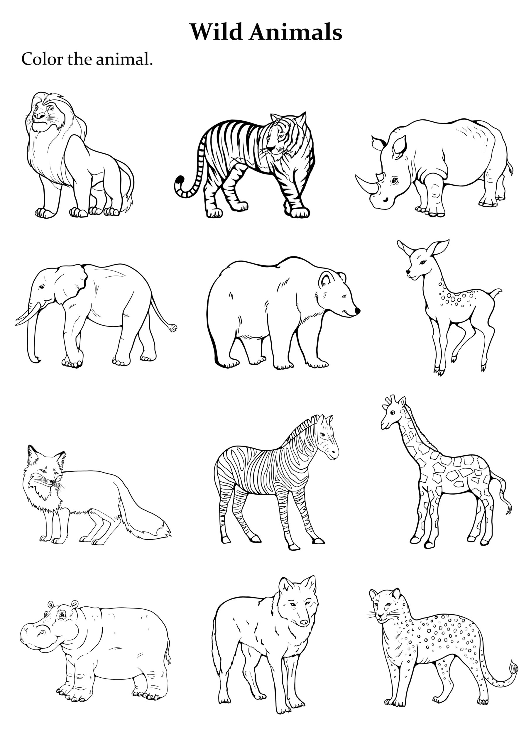 Wild Animal Coloring Pages