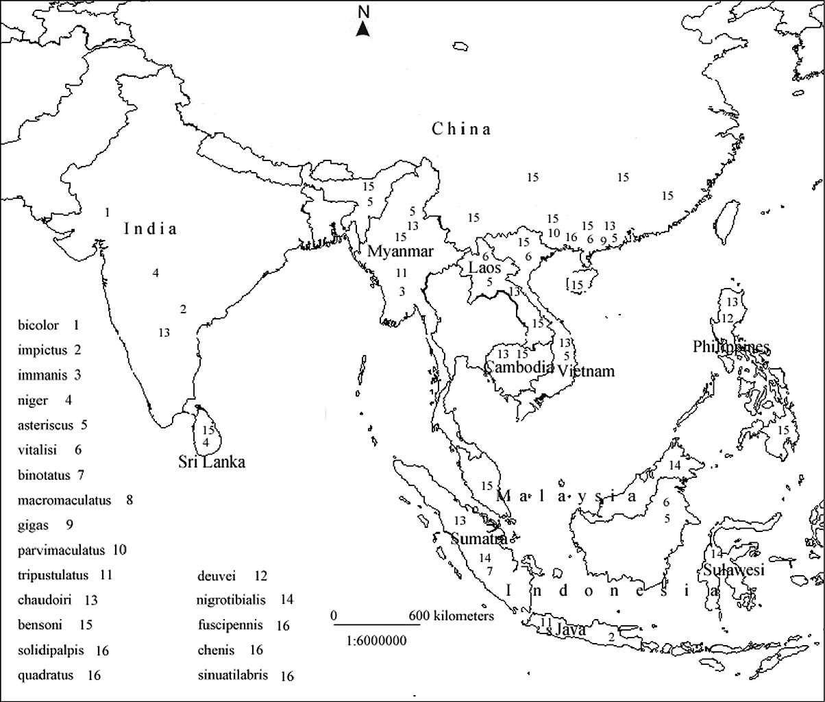 Coloring Map Of Asia Coloring Pages