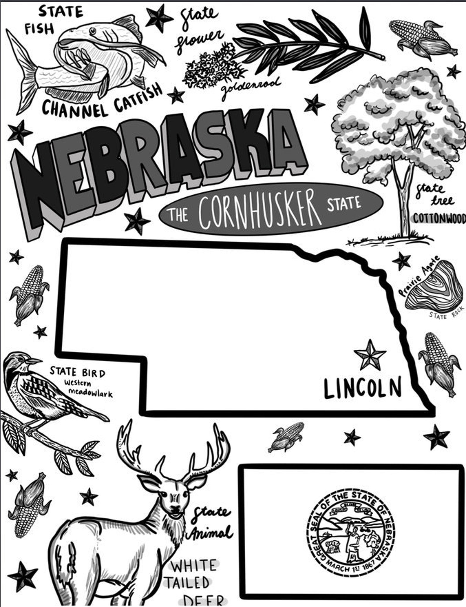 Coloring Nebraska Pages Husker Huskers Postcard Herbie Template Sketch Coloring Page