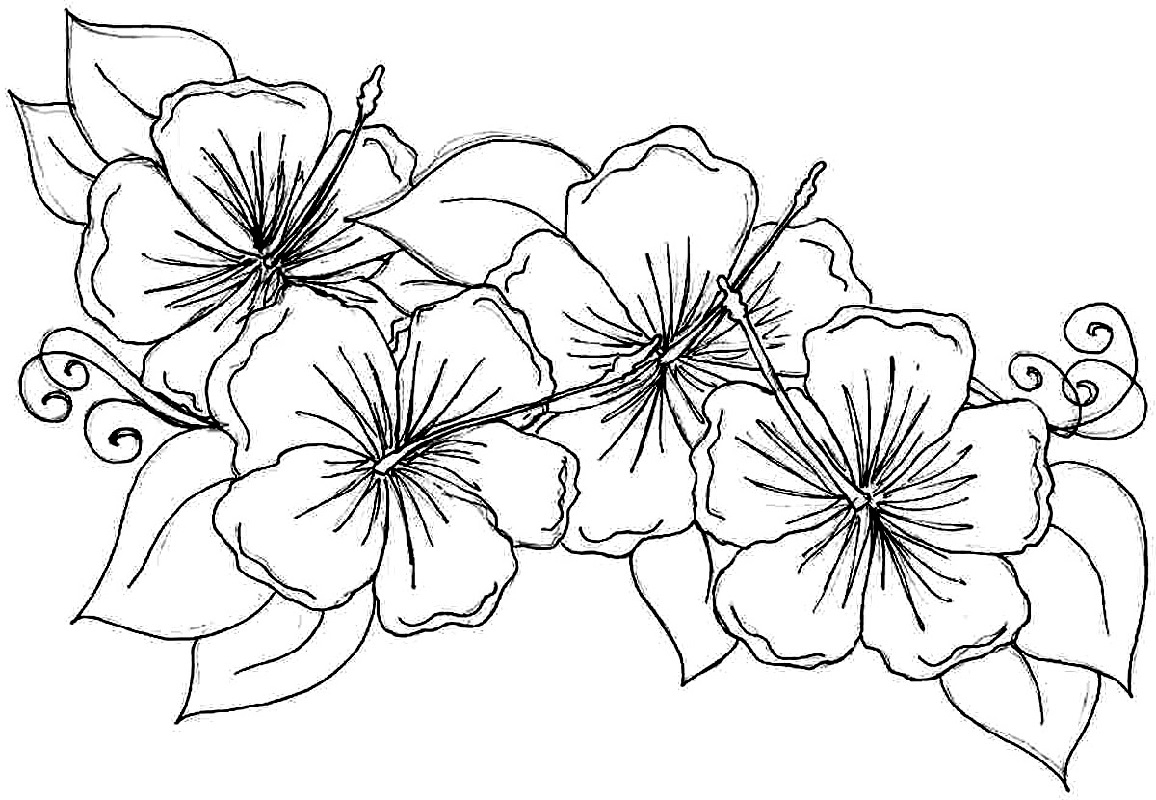 Hawaiian Flowers Coloring Pages