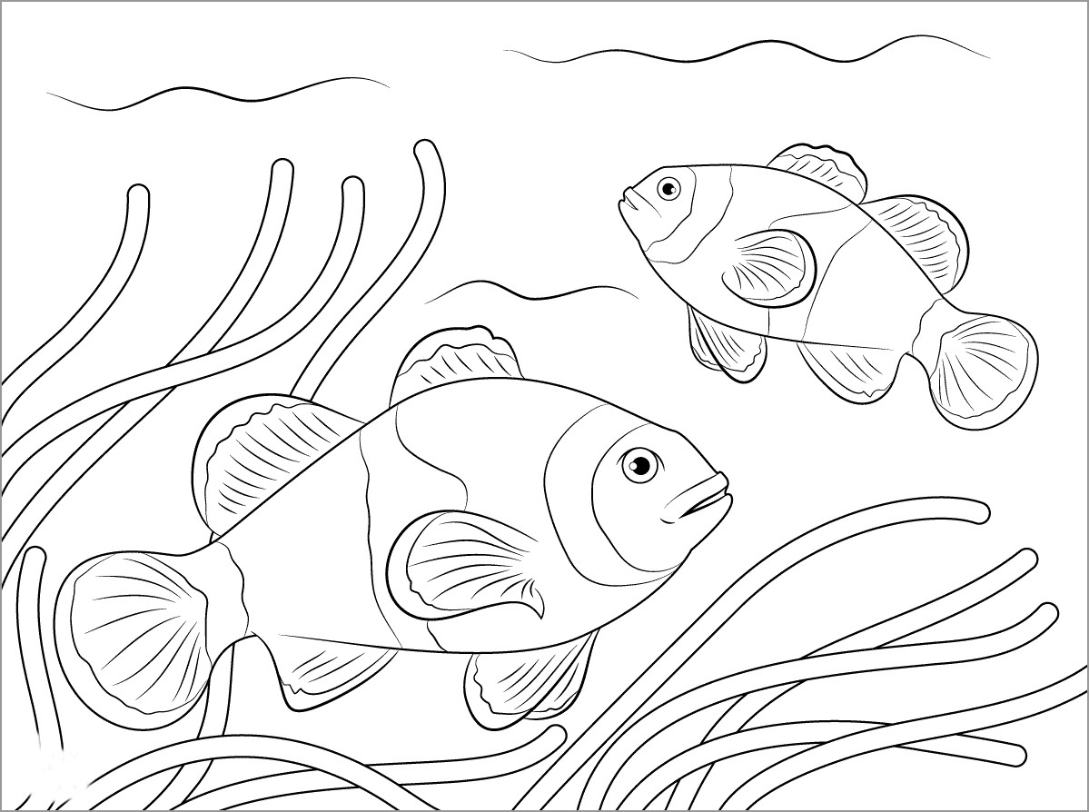 Coloring Pages Clown Fish Tobanga Colors