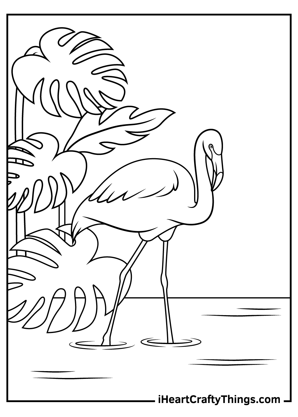 Coloring Pages Flamingo