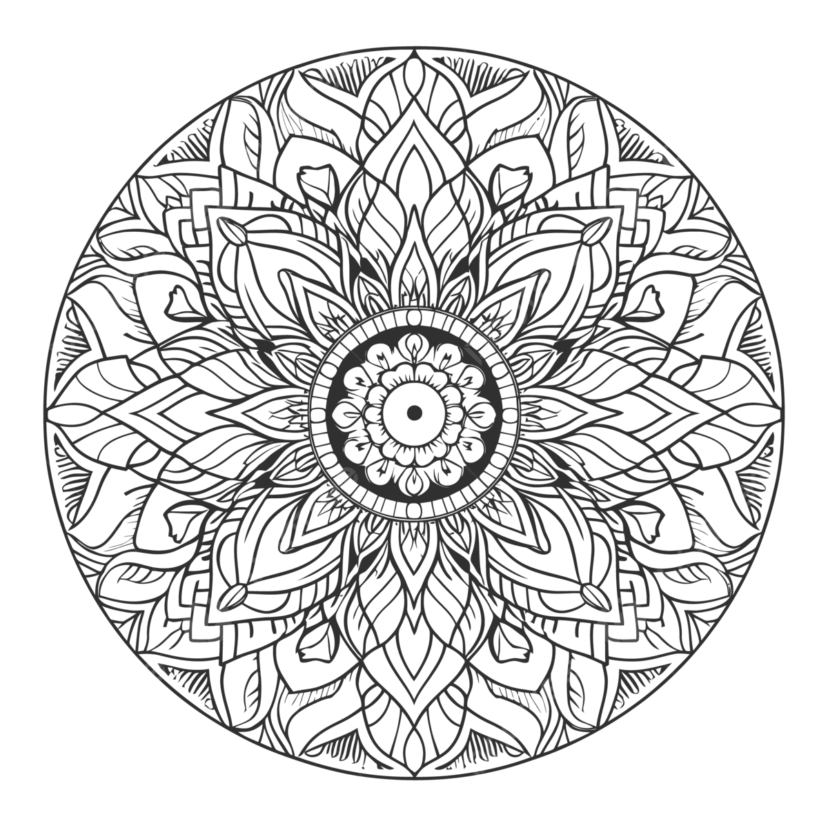 Coloring Pages For Adults Round Shape Outline Sketch Drawing Vector Mandala Simple Drawing