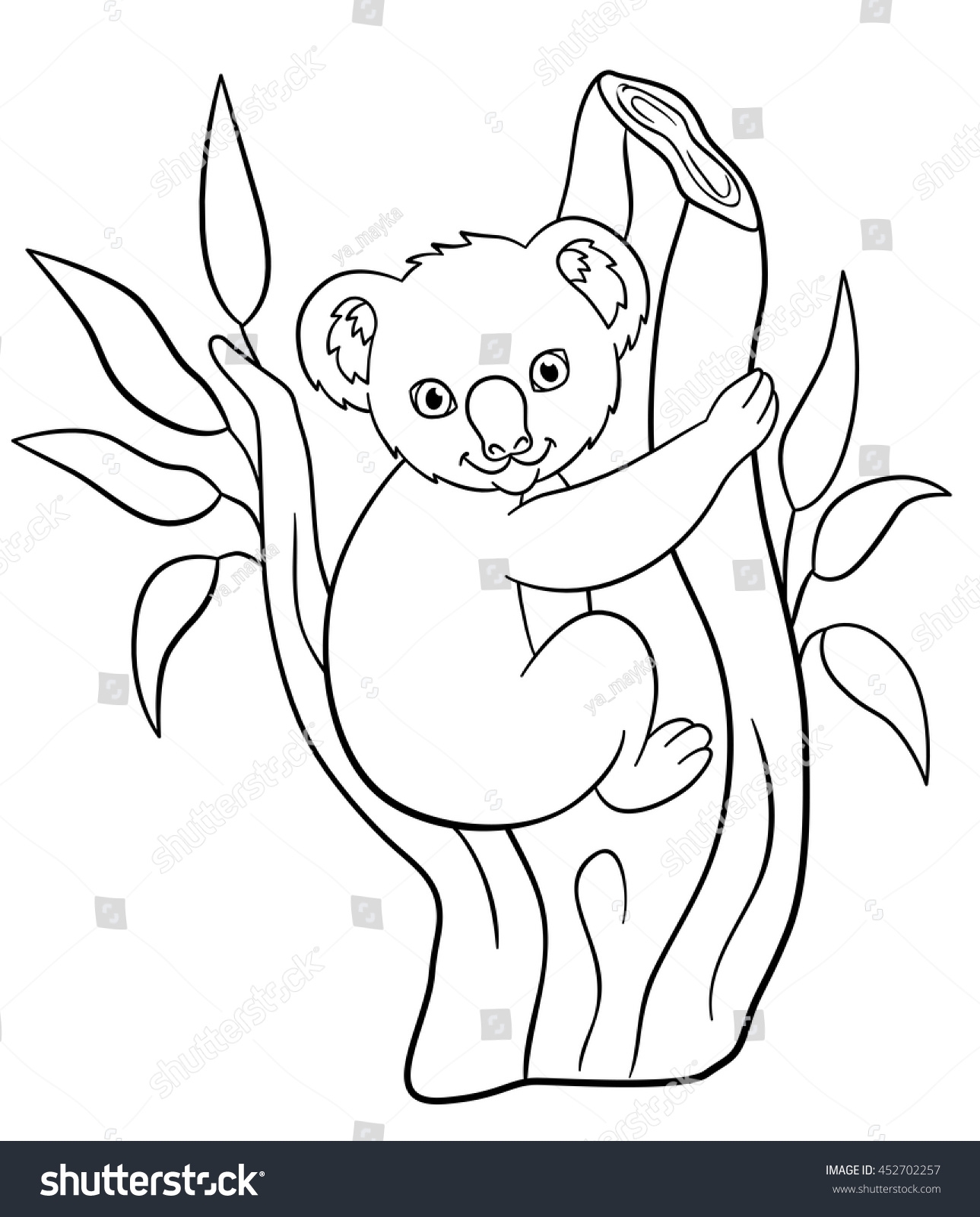 Baby Koala Coloring Pages