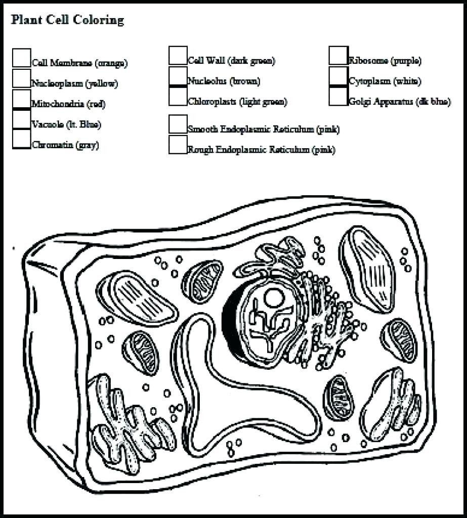 Cell Coloring Page