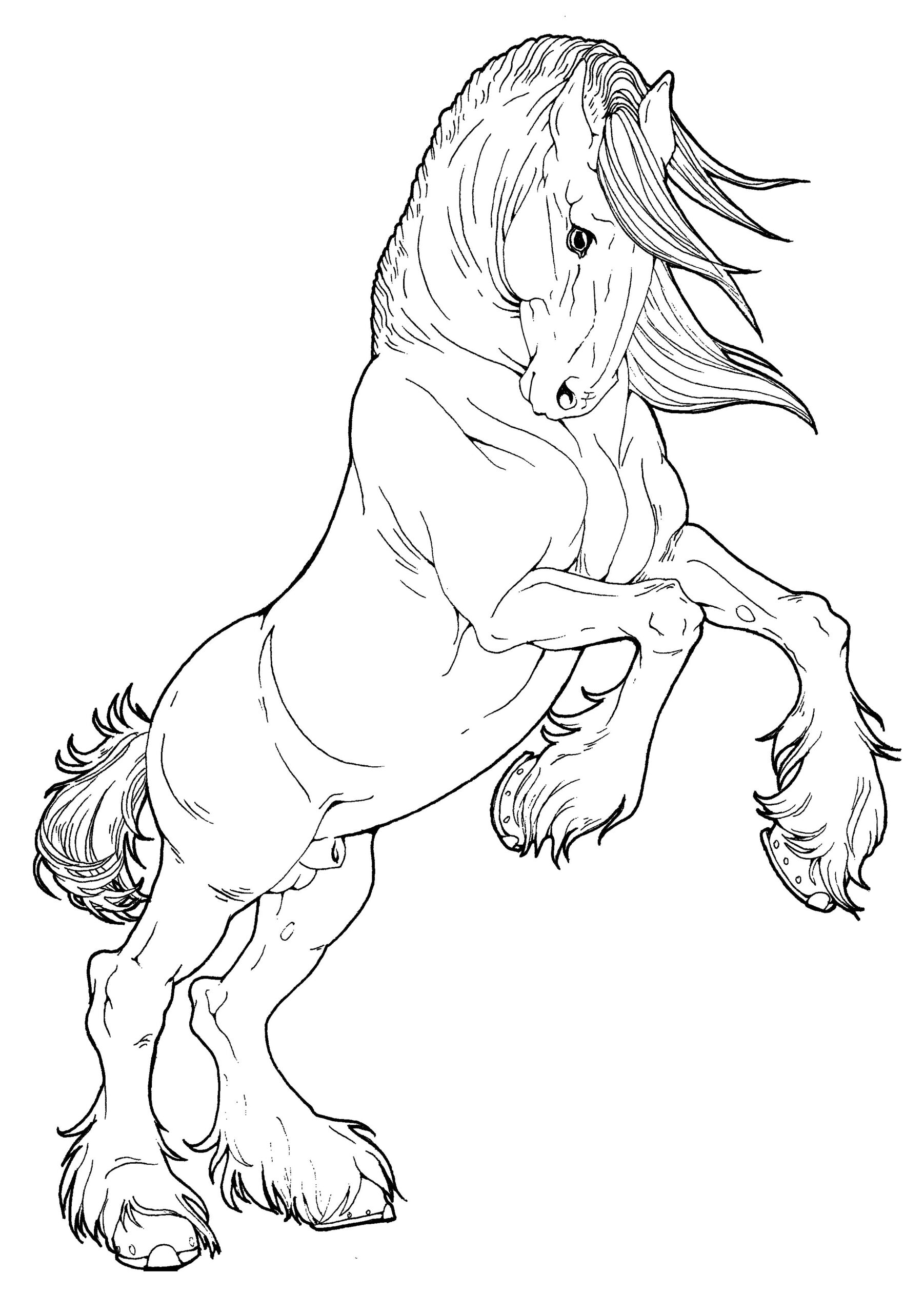 Horses Coloring Page