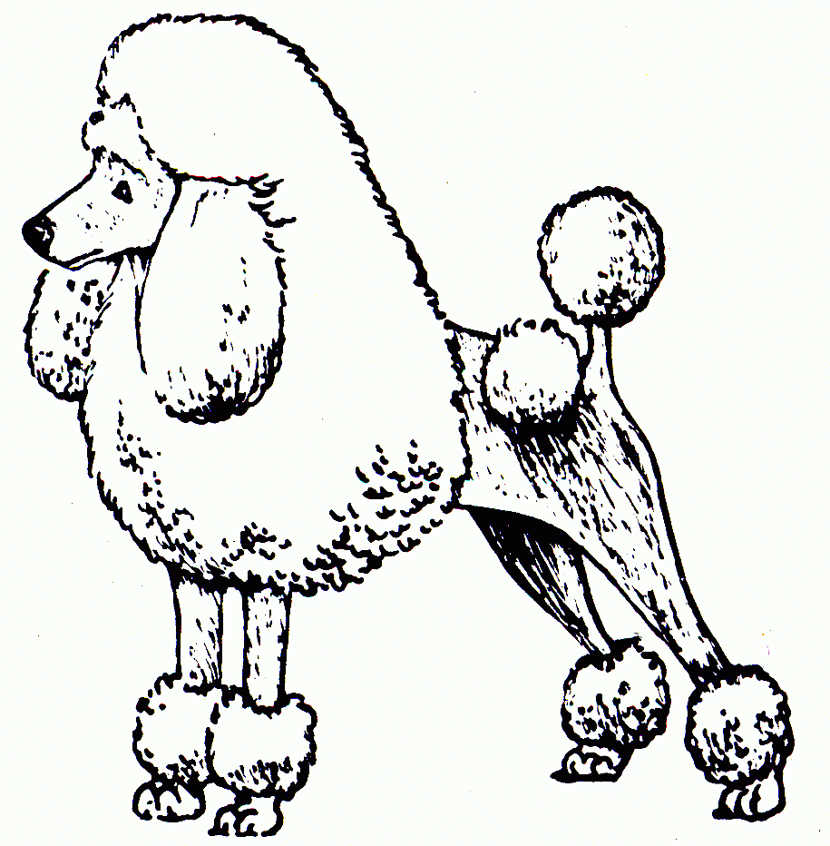 Poodle Coloring Pages