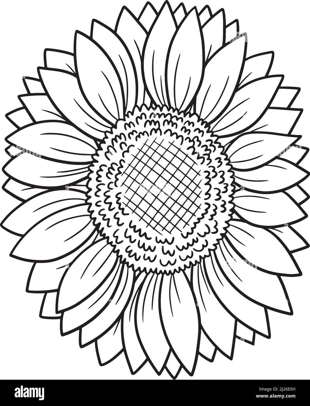 Coloring Sunflower Hi Res Stock Photography And Images Alamy