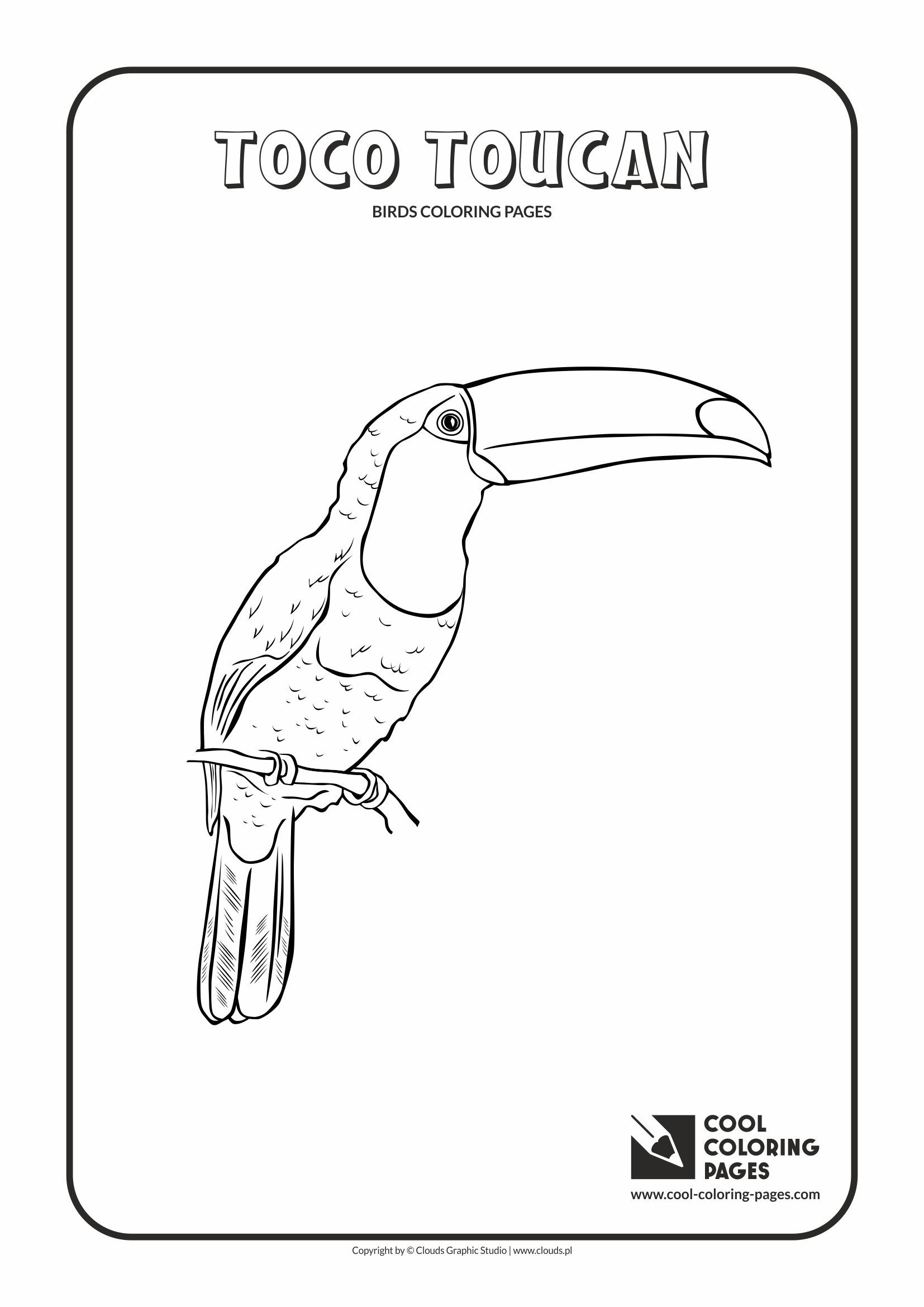 Cool Coloring Pages Toco Toucan Coloring Page Cool Coloring Pages Free Educational Coloring