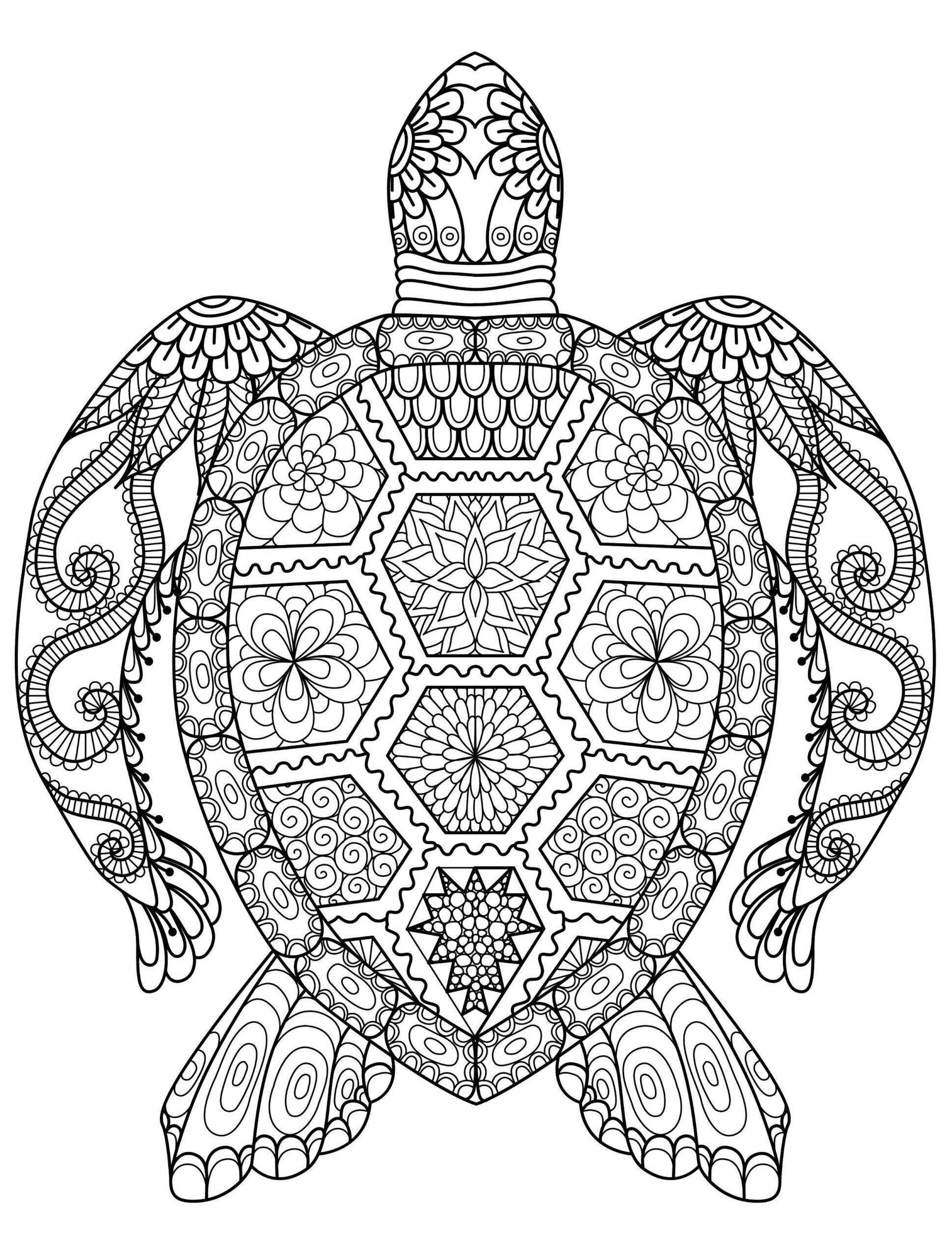 Adult Coloring Pages Easy