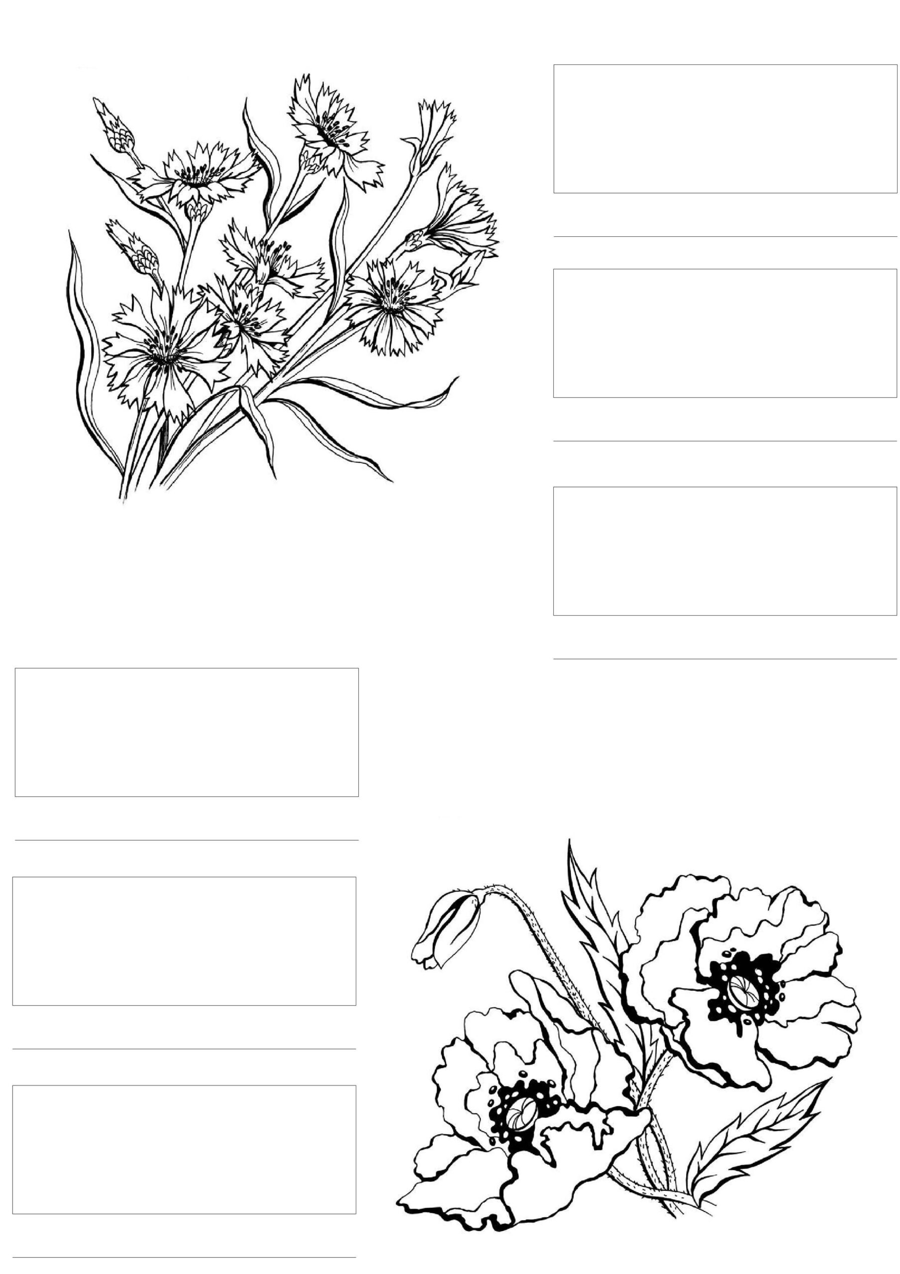 Copic Marker Coloring Pages Sketch Coloring Page
