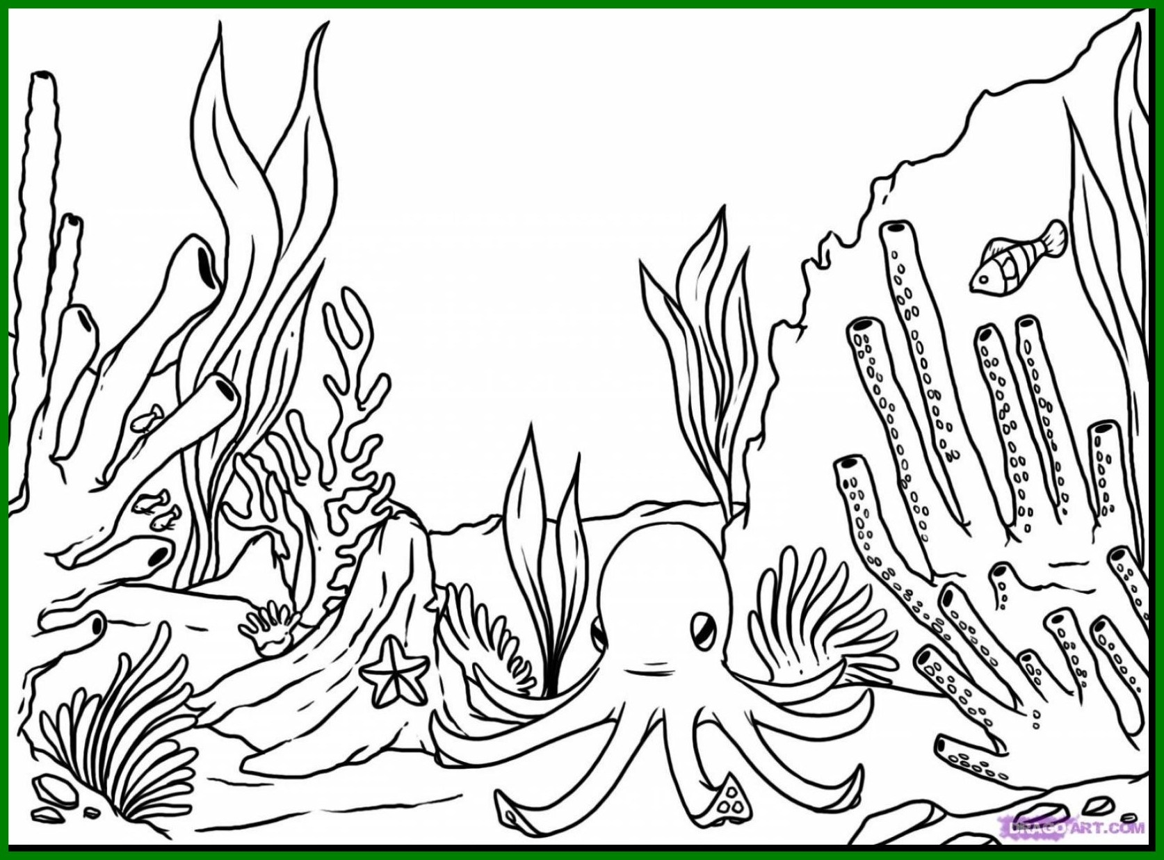 Coral Reef Coloring Page At GetColorings Free Printable Colorings Pages To Print And Color